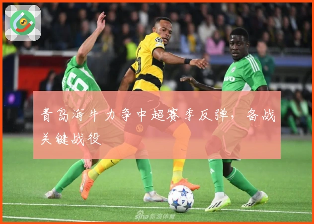 青岛海牛力争中超赛季反弹，备战关键战役