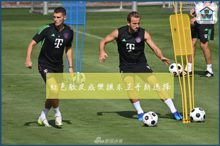 红色胶皮成樊振东正手新选择