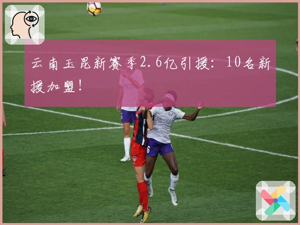 云南玉昆新赛季2.6亿引援：10名新援加盟！